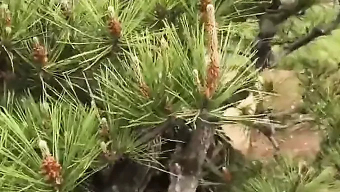 Eine junge Chinesin beim Spaziergang im Park