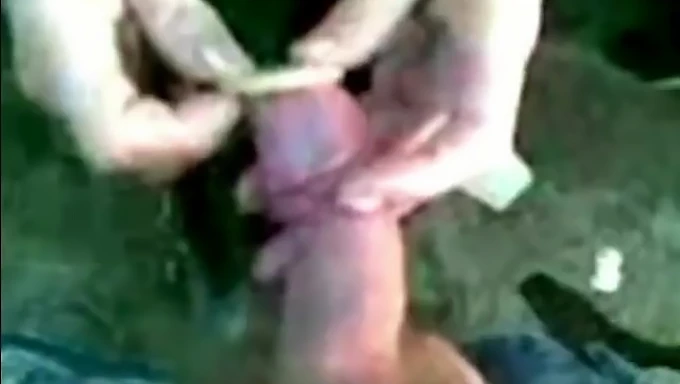 Pelanggan yang rakus melakukan anal dengan pelacur amatur